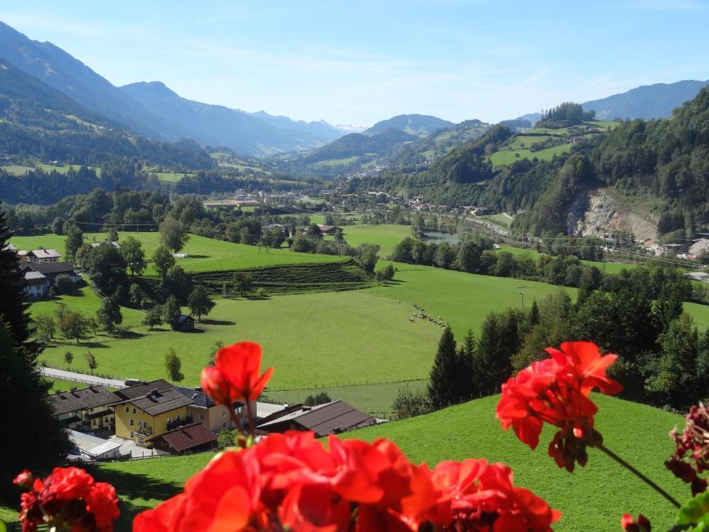 Pension Appartements Reithof Sankt Johann im Pongau Habitación foto