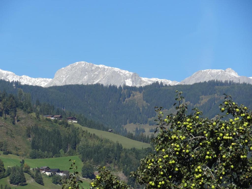 Pension Appartements Reithof Sankt Johann im Pongau Habitación foto